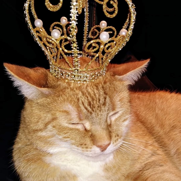 Meet your Posher, Jennifer - Picture 11 of 15